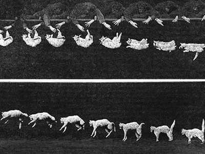 轨迹叠影 重构认知 UR发布2021冬季形象大片