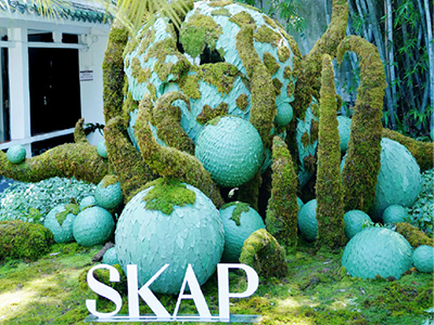 SKAP 与地球相“愈”