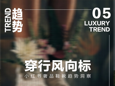 步履之间、风潮涌现，一图解码小红书奢品鞋靴【双维趋势】 