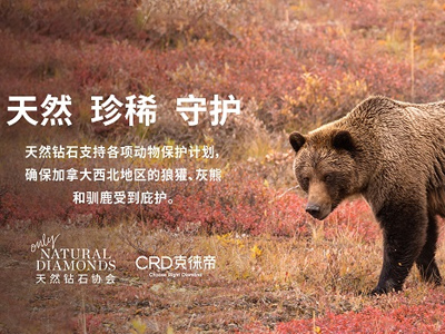 CRD克徕帝携手天然钻石协会，守护闪耀，守护珍稀