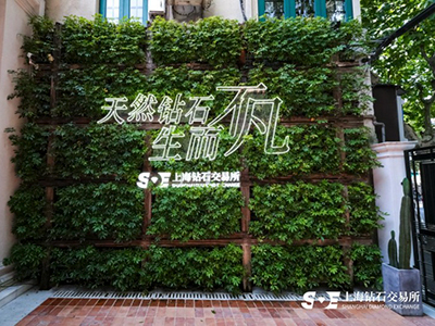 天然钻石市场回暖：稀缺性、保值性与情感价值成投资新焦点