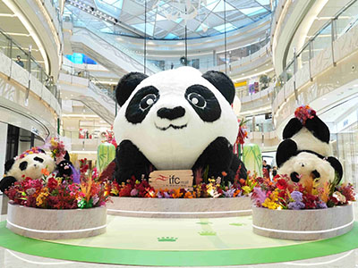 上海ifc商场  竹趣熊猫乐园