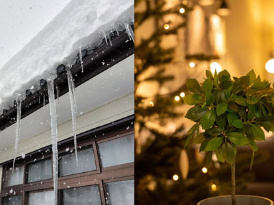 冬日里的暖意 花王“润”心相伴