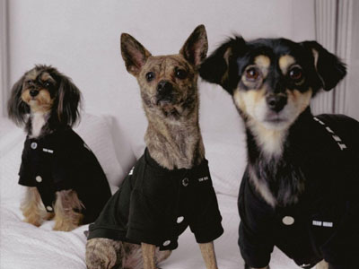 TEAM WANG design 发布 THE ORIGINAL 1 全新生活方式子系列 —— “FRIENDS”