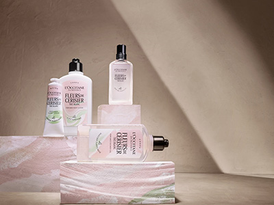 「南法半日，闲茶赏樱」 普罗旺斯欧舒丹春日限定樱花系列，启幕品牌感官新篇