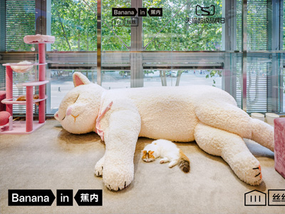 当体感科学遇见成都慢生活：蕉内「丝滑躺平猫咖」限时开启