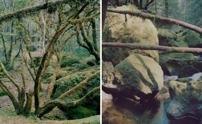 截屏2020-09-07 14.09.40.png