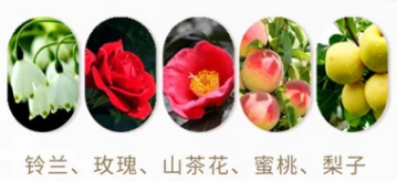 截屏2021-03-31 23.26.43.png