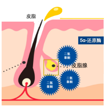 截屏2021-04-01 14.08.45.png