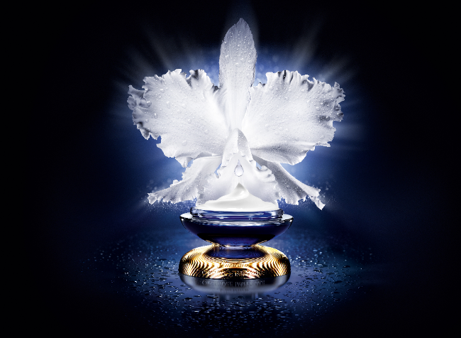 image003.png