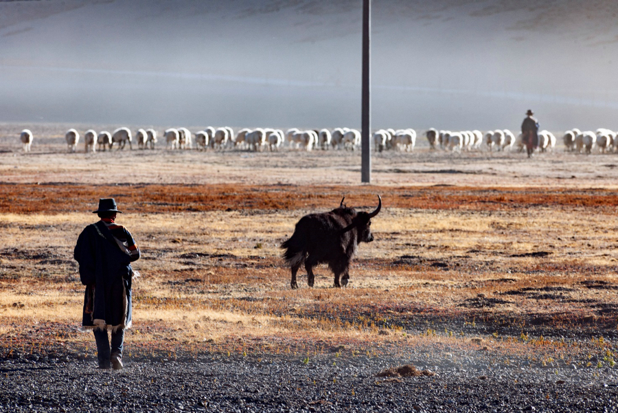 20210910150051wdezf.jpg image004.jpg