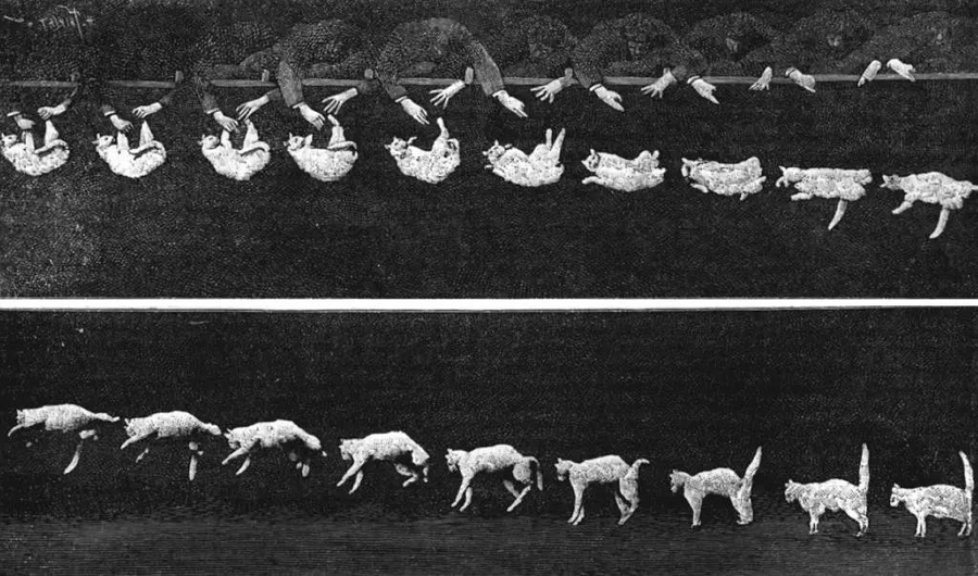 image001.jpg
