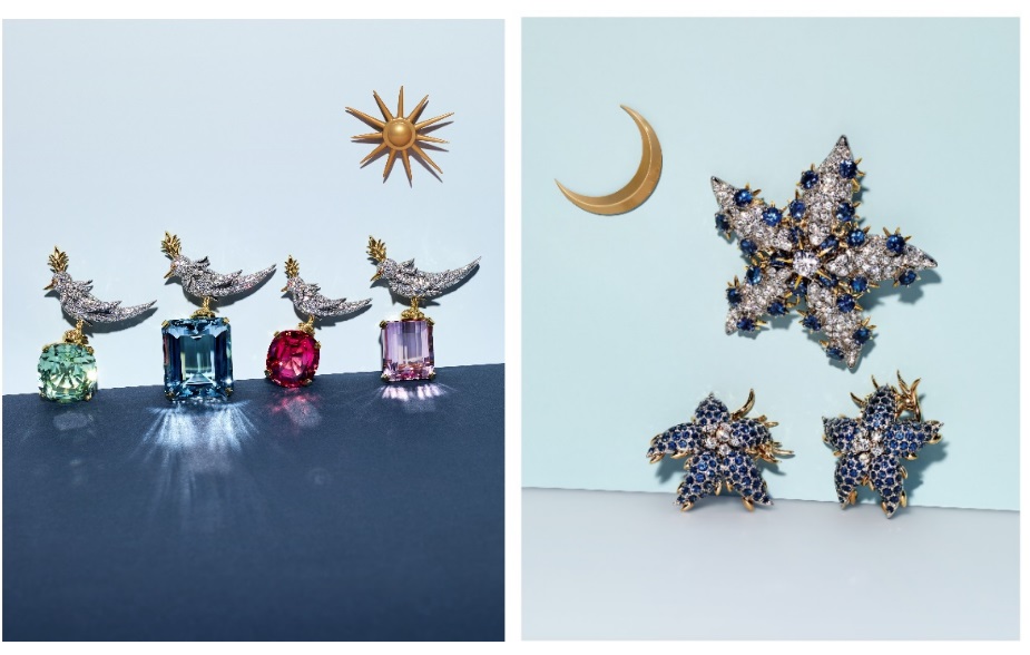 Tiffany & Co. 蒂芙尼Schlumberger® 高级珠宝系列石上鸟胸针(1).jpeg
