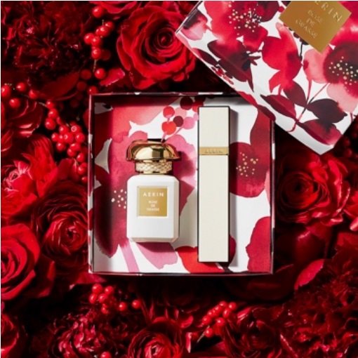 AERIN雅芮 (2).jpg