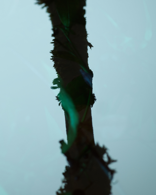 Filippa K Sustanability Release Photo.jpg