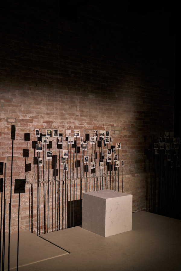 活动现场氛围图_女演员和歌手Suki Waterhouse的镜头艺术_1.jpg