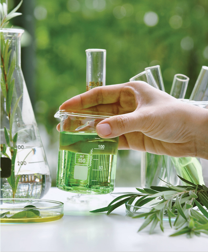 20230728174952jmgft.png 2.png