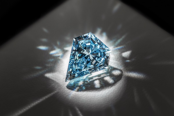 FRED Audacious Blue工艺图-02.jpg