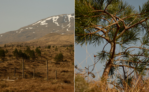 20240531223515oxlmw.png 202405311343121819971733.png