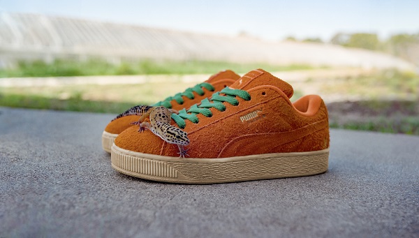 24AW_SP_Carrots_P1R1-004.jpg