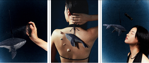 20240904203917tlqrx.png 1725352432265936.png