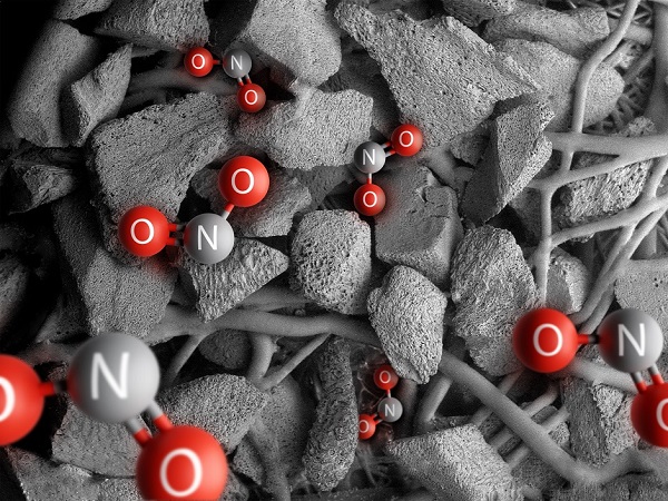 20241016023620ucybt.jpeg 20241015182103305.jpeg