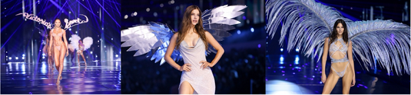 20241018025310bovoz.png 微信图片_20241018015111.png