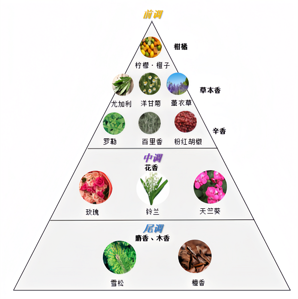 6746ee6103d64.png