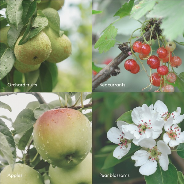 FJORD_0_Scent note.jpg