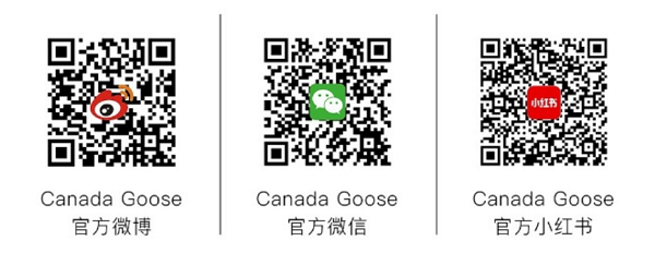 微信图片_20250415201425.png
