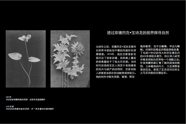 微信图片_20250429215406.png