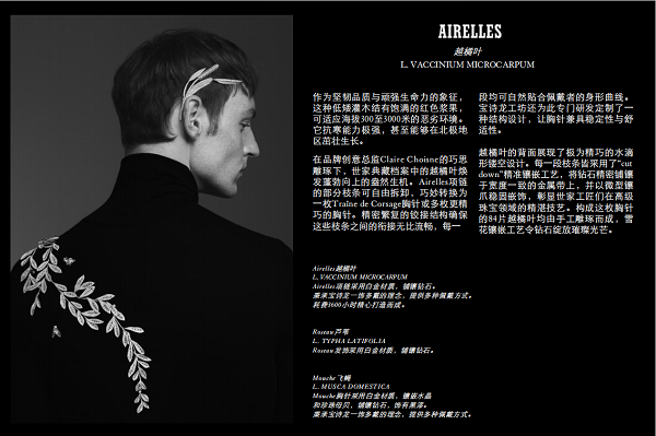 微信图片_20250429215442.png