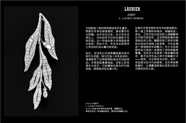 微信图片_20250429215555.png