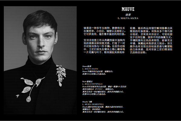 微信图片_20250429215622.png