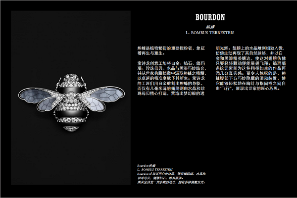 微信图片_20250429215732.png