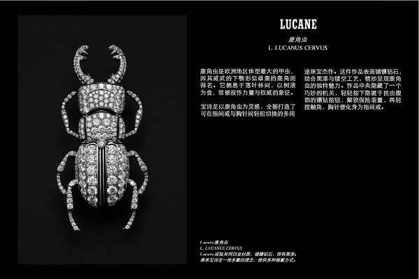 微信图片_20250429215742.png