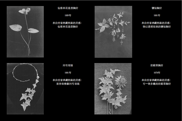 微信图片_20250429215852.png