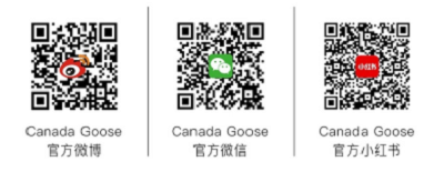 微信图片_20250925210933_85_267.png