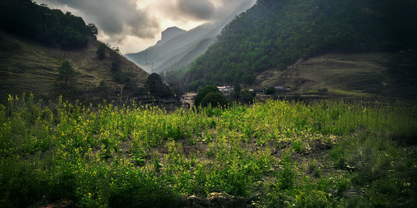 20250930185322xgcps.jpg 4c1e21388904432a8c326fbe92f2f7a9.jpg