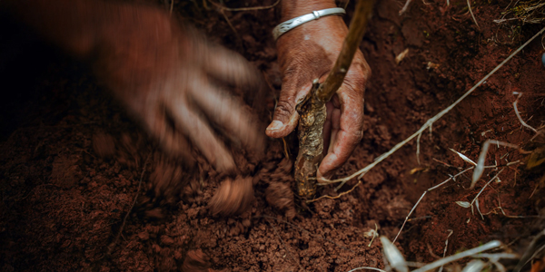 20250930185329gpphk.jpg 1a4463a9bd0d436e90220f2644239abc.jpg