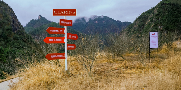 20250930185433iohdb.jpg 8a2237835e054a4d94c2d2a9f1680c66.jpg