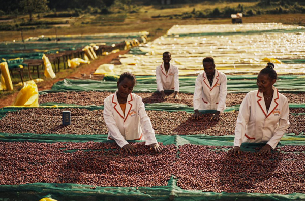 20251008210423ozanv.png 202510051619051320607834.png