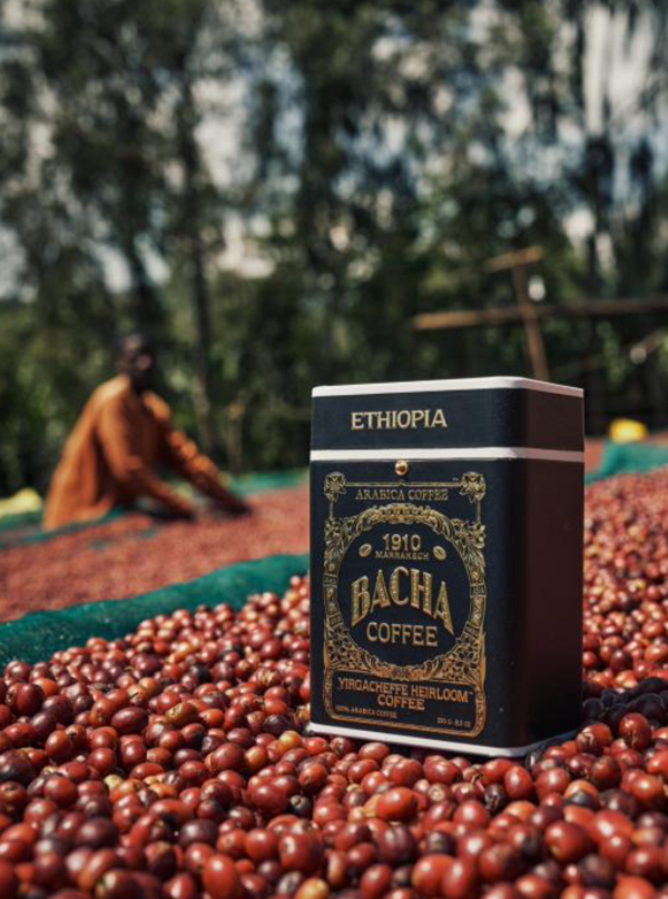 20251008210450miriw.png 20251005161906243641743.png