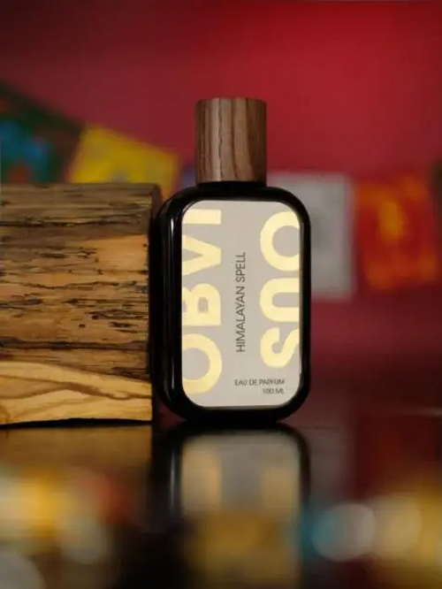 20251104174854pripy.jpg f4269540e72d45cab7b89b8bfa66a351.jpg