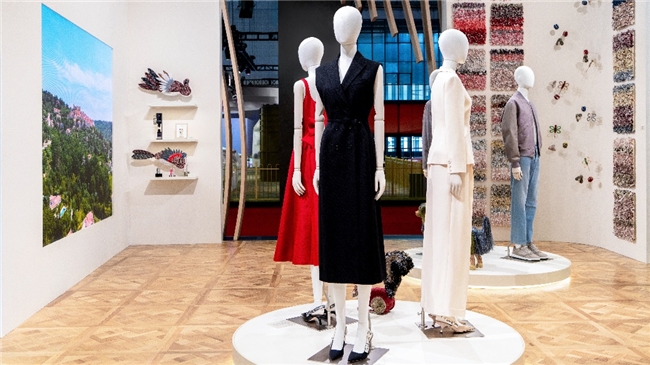 20251106162539rfpnc.jpg 9.009.jpg