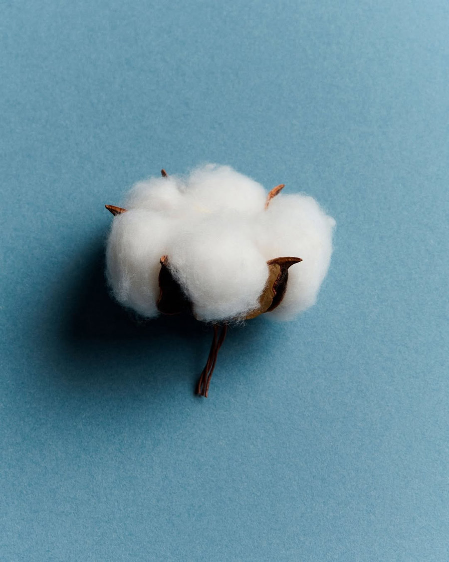 20251115205037kddle.jpg 首图.jpg