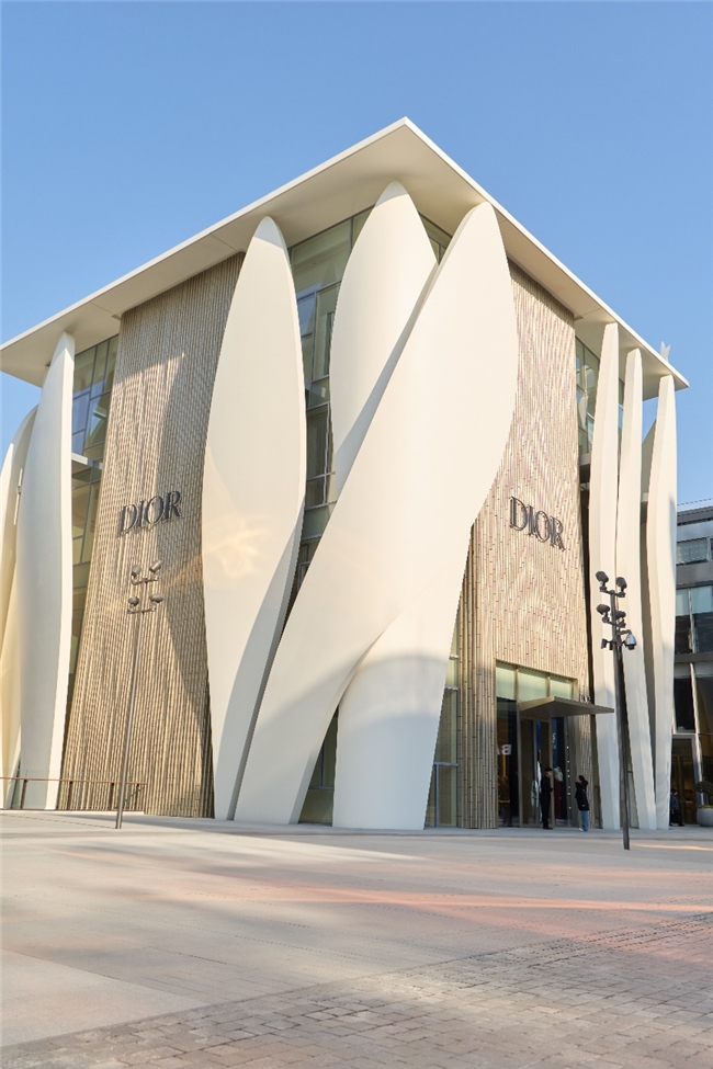 20251211154128fogtr.jpg 7.jpg